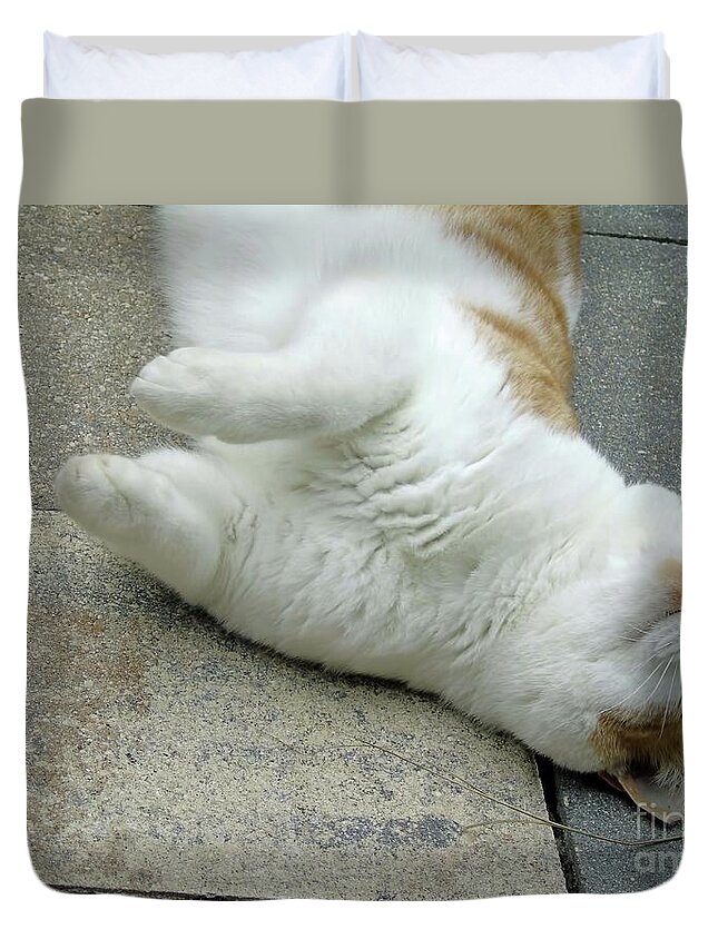 Cat Duvet Cover featuring the photograph A Different Look At Life by D Hackett