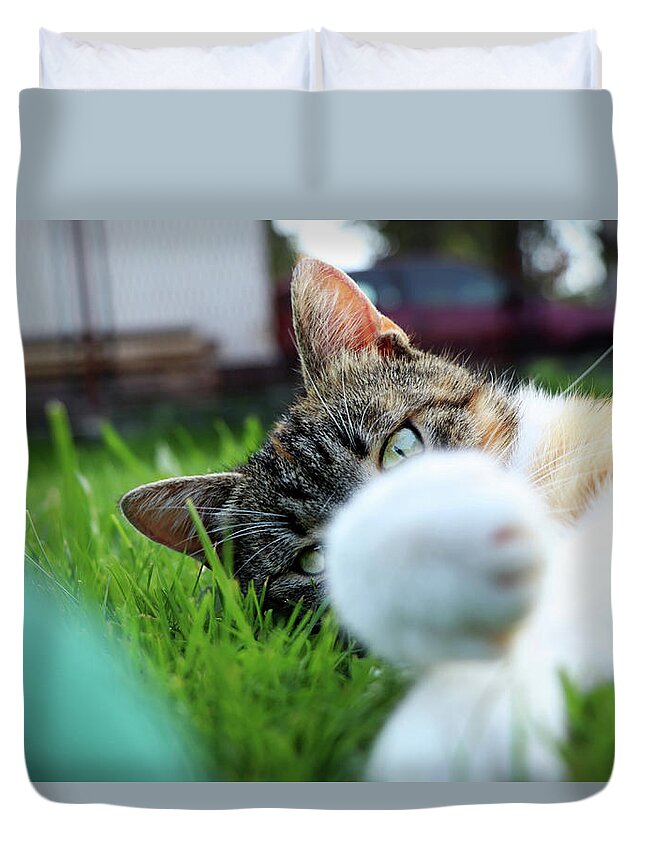 Golden Hour Duvet Cover featuring the photograph Cat head looking from behind her paws and look right to camera. by Vaclav Sonnek