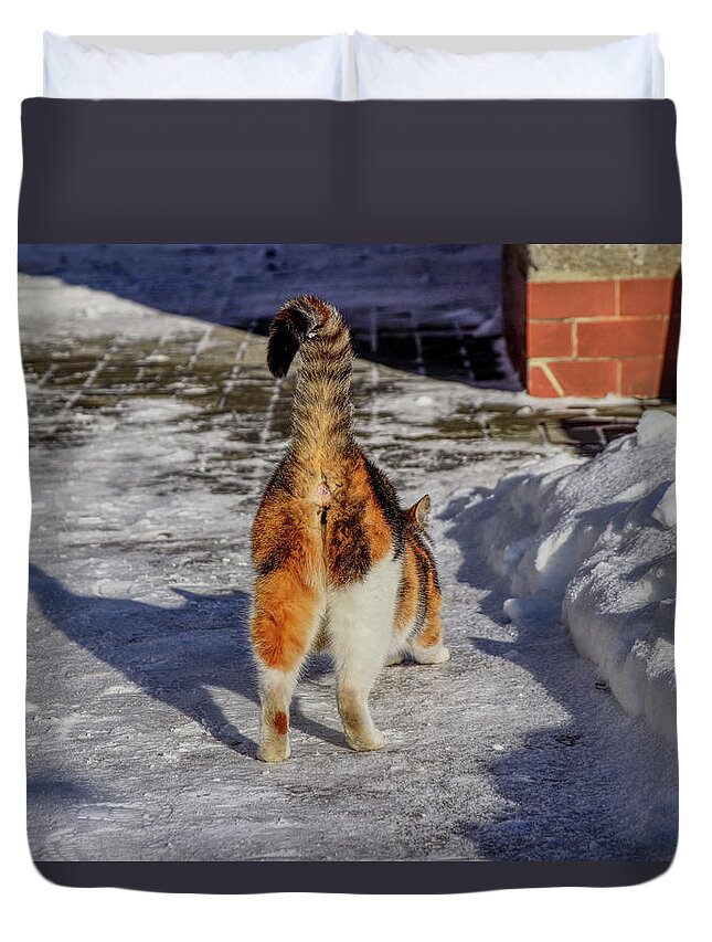 Liza Duvet Cover featuring the photograph A domestic cat is stretching the muscles in body after long night. A Beautiful colorful fur with big tail. She show us her animal ass by Vaclav Sonnek