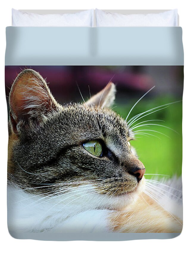 Golden Hour Duvet Cover featuring the photograph A domestic cat view looking away and lying in grass. Relaxing after hard day by Vaclav Sonnek