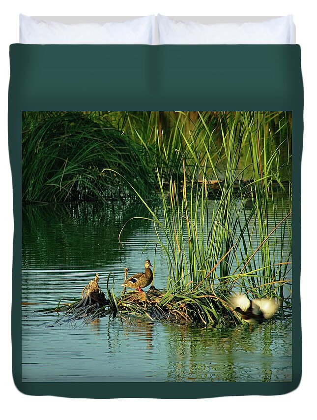 Ducks Duvet Cover featuring the photograph A Ducks Life by Angelo DeVal