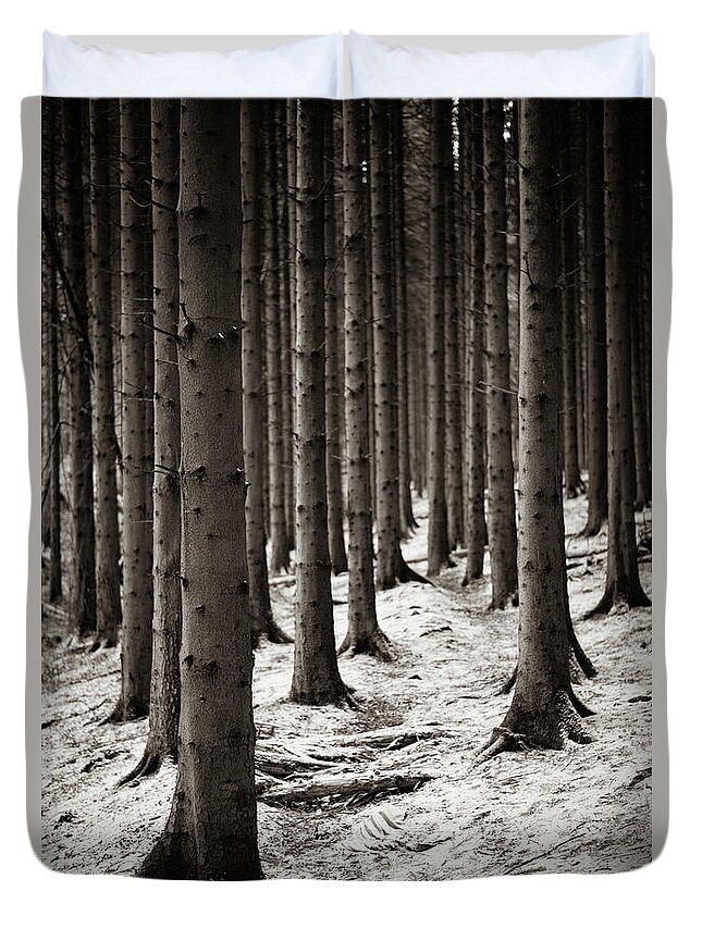 Pine Forest Duvet Cover featuring the photograph A dusting of snow by Gavin Lewis