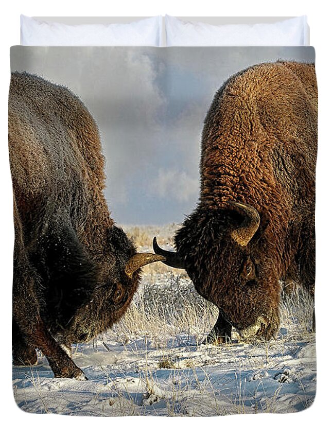 Winter Duvet Cover featuring the photograph A fight Between Two Male Bison, American Buffalo in a Snow Field by OLena Art by Lena Owens - Vibrant DESIGN