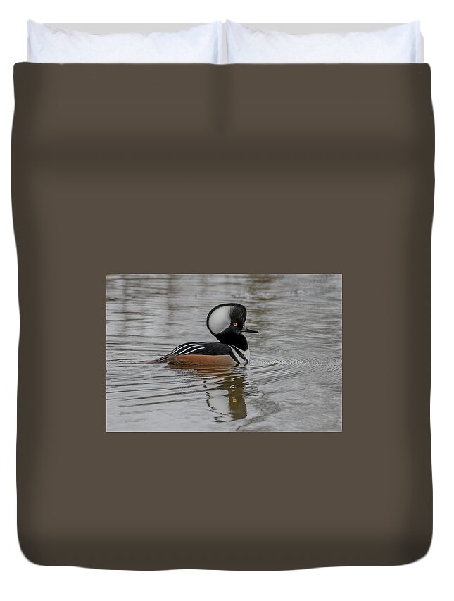 Hooded Merganser Duvet Cover featuring the photograph A Hoodie by Jerry Cahill