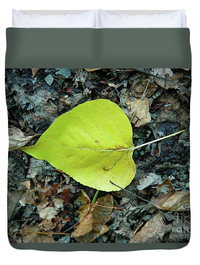 Leaf Duvet Cover featuring the photograph A Leaf On The Ground by Jeff Swan