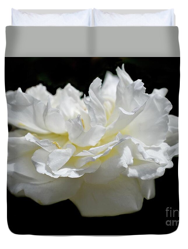 Rose Duvet Cover featuring the photograph A Life Of One English Rose 2 by Leonida Arte