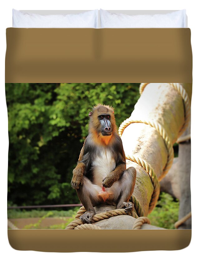 Mandrill Duvet Cover featuring the photograph Mandrillus sphinx sitting on the trunk by Vaclav Sonnek