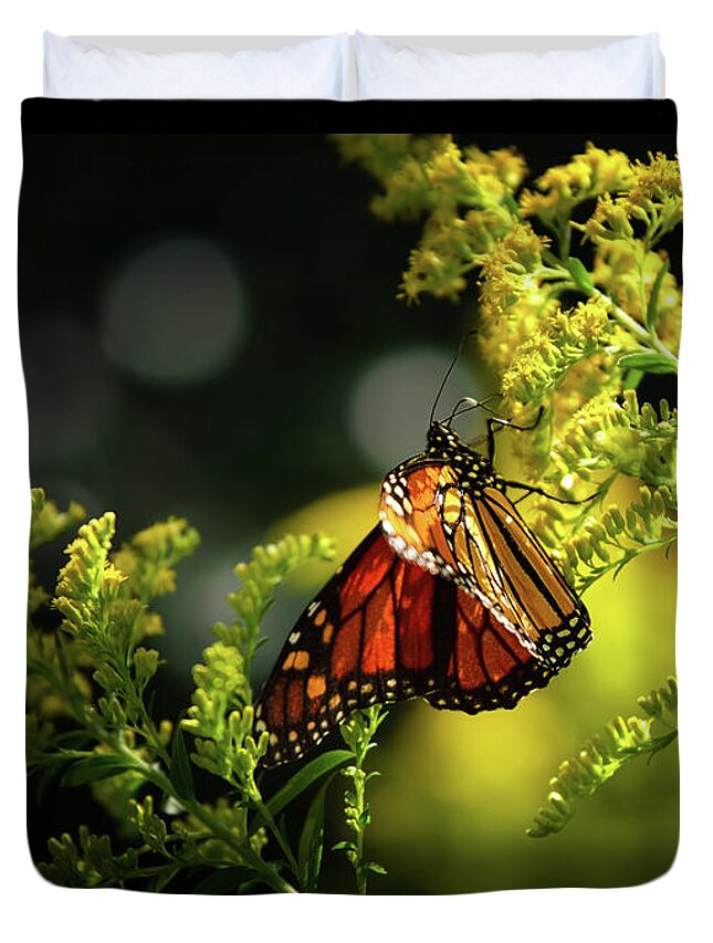 Center Stage Duvet Cover featuring the photograph A Monarch Butterfly by Rehna George