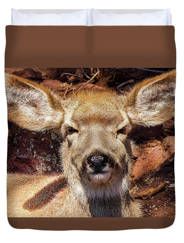 Deer Duvet Cover featuring the photograph A Mule Deer by Laura Putman