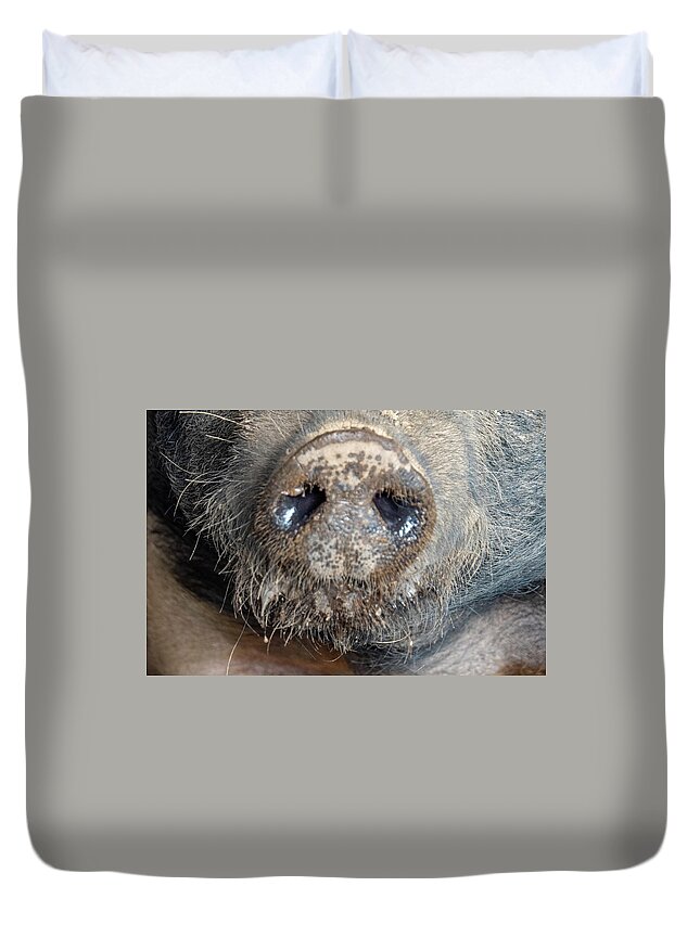 Pig Duvet Cover featuring the photograph A Nose Only a Mother Could Love by Leslie Struxness
