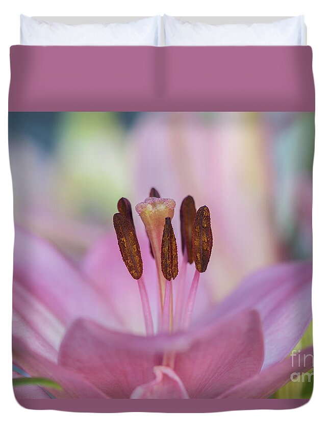 Plant Duvet Cover featuring the photograph A Pink Lily of Springtime by Nancy Gleason