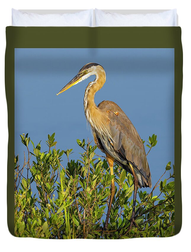 R5-2653 Duvet Cover featuring the photograph A Proud Heron by Gordon Elwell