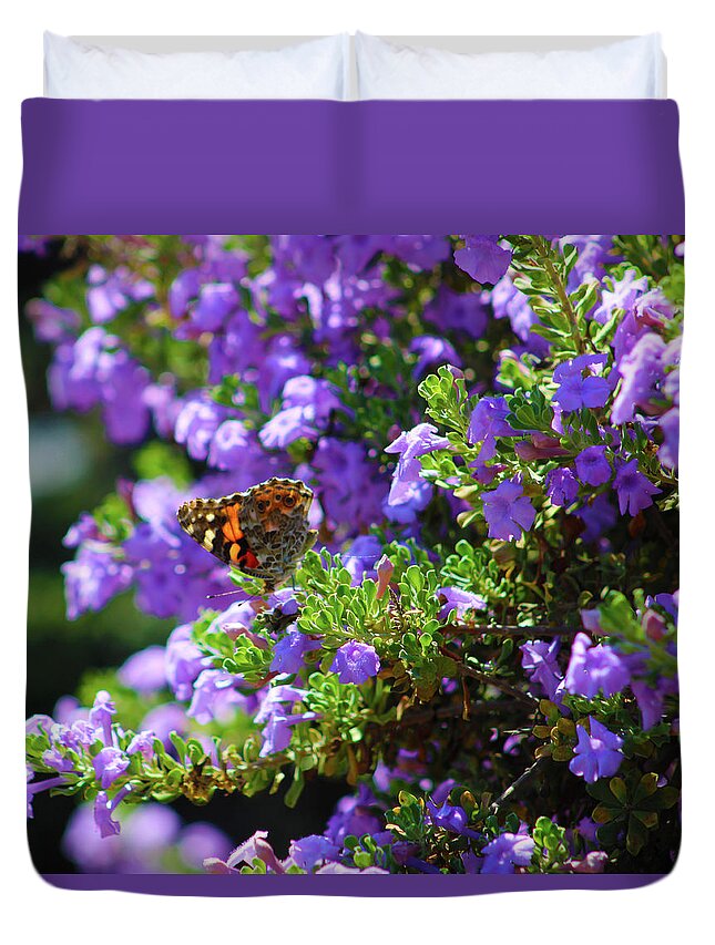 Butterfly Duvet Cover featuring the photograph A Sea of Purple by Marcus Jones