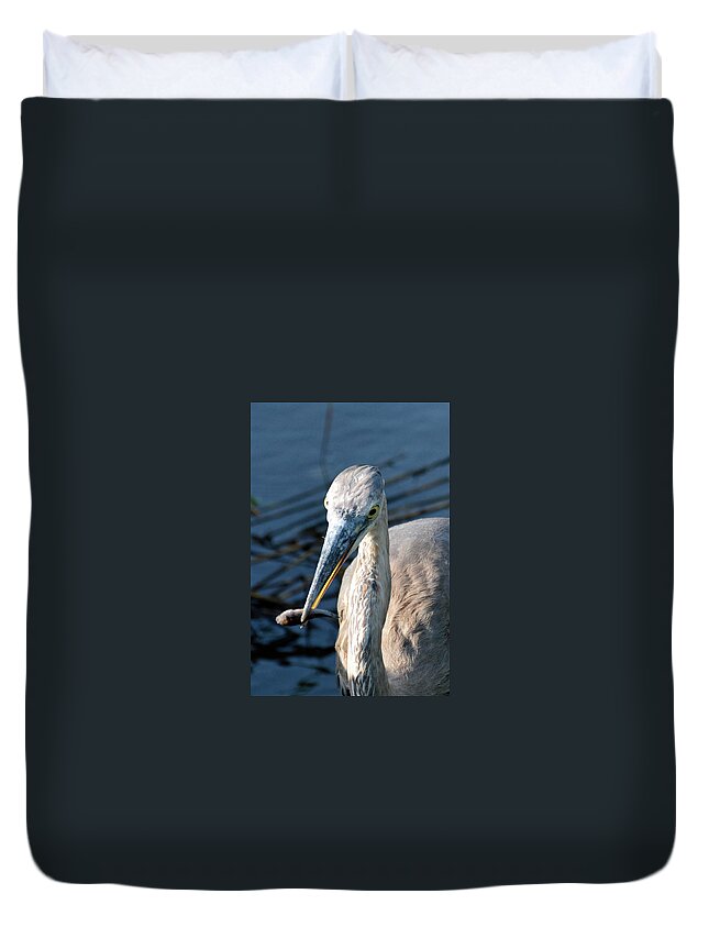 Birds Duvet Cover featuring the photograph A Second Before the Gulp by Bruce Gourley
