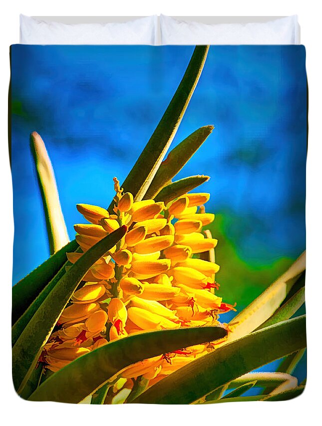 Cactus Duvet Cover featuring the photograph A study in yellow, green and blue - cactus flower near Phoenix AZ by Frank Lee
