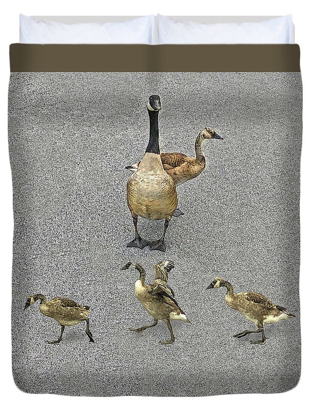 Geese Family Duvet Cover featuring the photograph A Sunday Portrait by Edward Shmunes