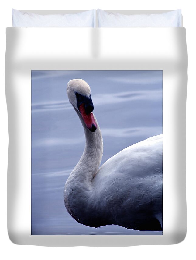 Bird Duvet Cover featuring the photograph A Swan by Jim Feldman