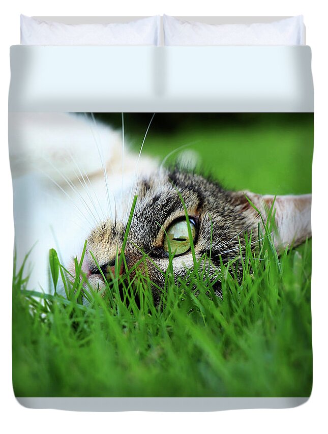 Domestic Cat Duvet Cover featuring the photograph Tabby kitten lying in grass by Vaclav Sonnek