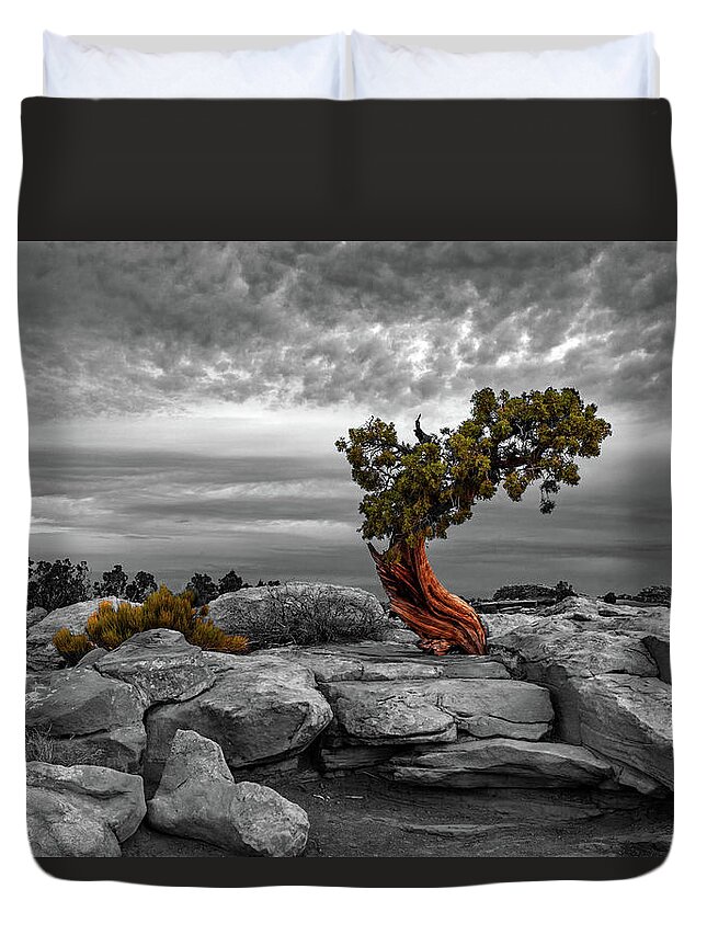 Moab Duvet Cover featuring the photograph A Tree With Character by Dan Norris