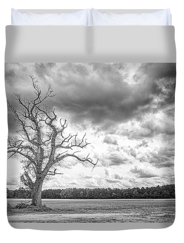 Tree Duvet Cover featuring the photograph A Tree With Great Character - Eastern North Carolina by Bob Decker