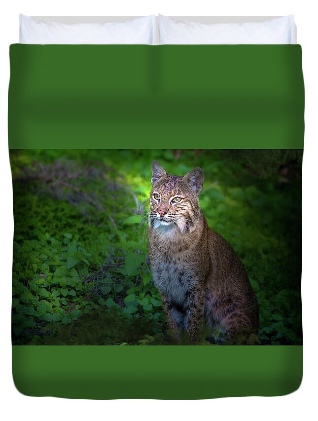 Bobcat Duvet Cover featuring the photograph A Watchful Eye by Mark Andrew Thomas