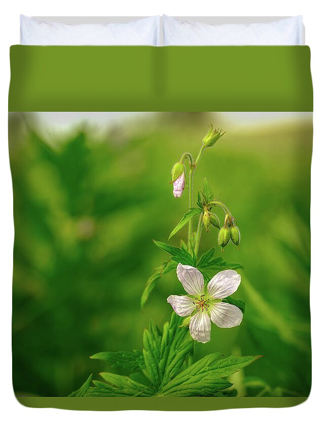 Mountain Duvet Cover featuring the photograph A wild rose found in the Canadian Rockies. by Yves Gagnon
