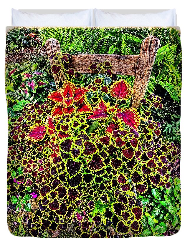 Coleus Chair Brown Red Yellow Green Leaves Plants Colorful Foliage Duvet Cover featuring the photograph Abundant Coleus by Allen Nice-Webb