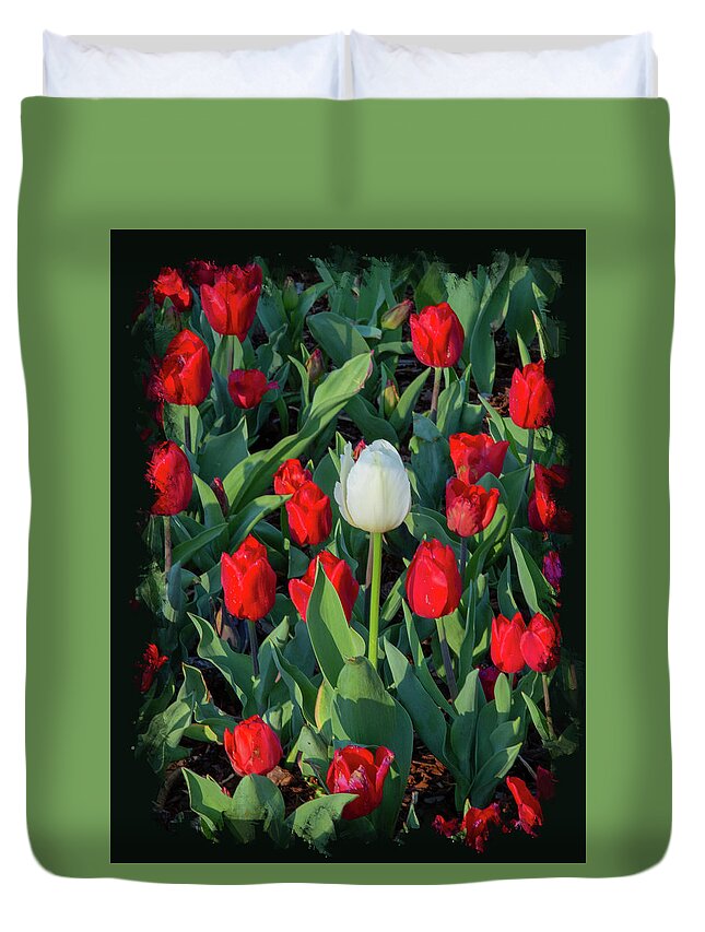 Tulips Duvet Cover featuring the photograph Acceptance by Gina Fitzhugh