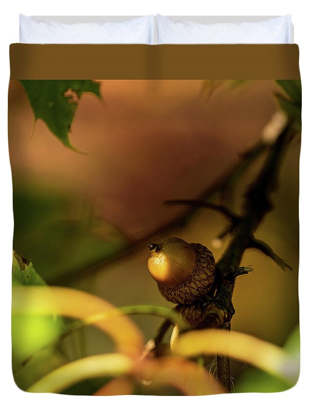Nature Duvet Cover featuring the photograph Acorn Season Fall 2020 by Amelia Pearn