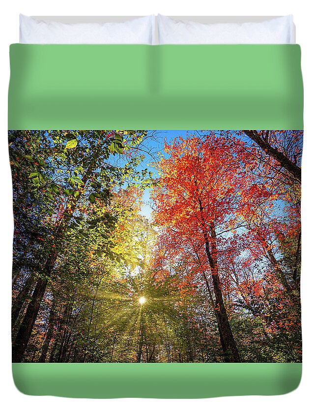 Fall Duvet Cover featuring the photograph Adirondacks Autumn at Rich Lake 8 by Ron Long Ltd Photography