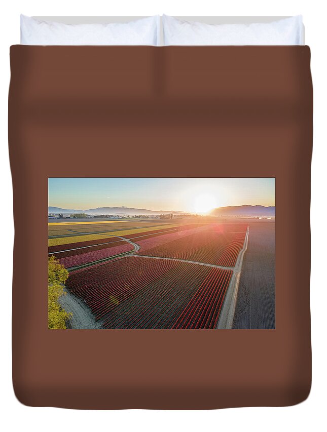 Skagit Duvet Cover featuring the photograph Aerial Tulips1 by Michael Rauwolf