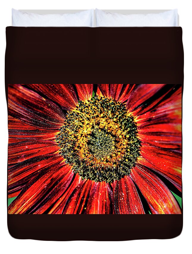Aesthetic Sunflower Duvet Cover featuring the photograph Aesthetic Sun Flower by Louis Dallara