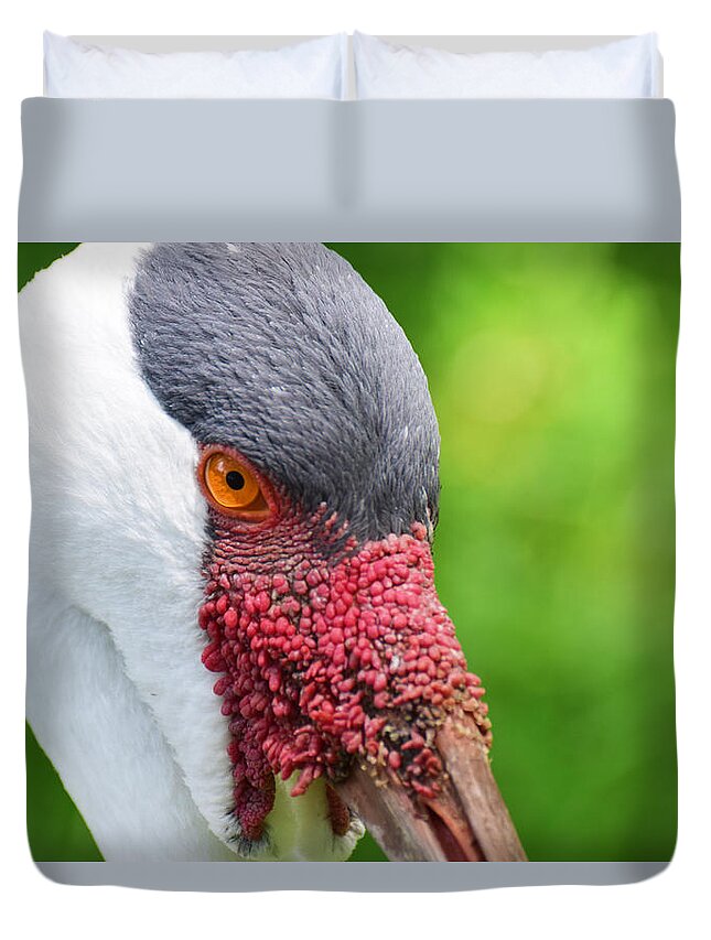 African Duvet Cover featuring the photograph African crane close up by Ed Stokes
