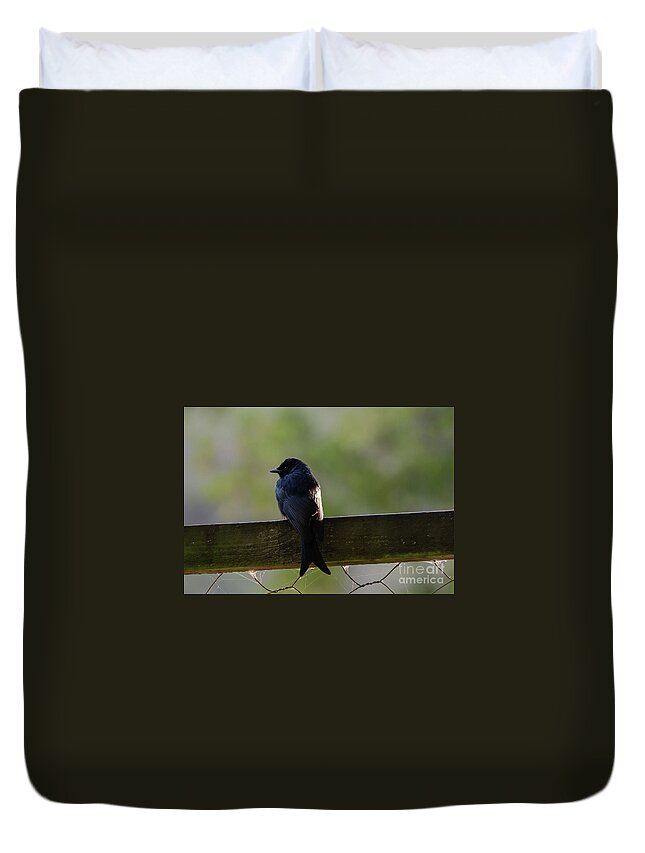 Fork-tailed Drongo Duvet Cover featuring the photograph African Drongo by Eva Lechner