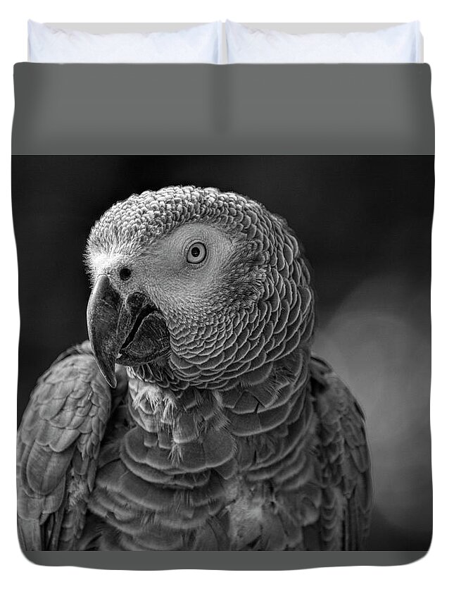  Black Duvet Cover featuring the photograph African Grey Parrot in Black and White by Carolyn Hutchins