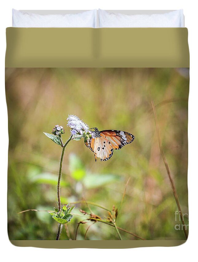 Butterfly Duvet Cover featuring the photograph African Monarch by Claudio Maioli