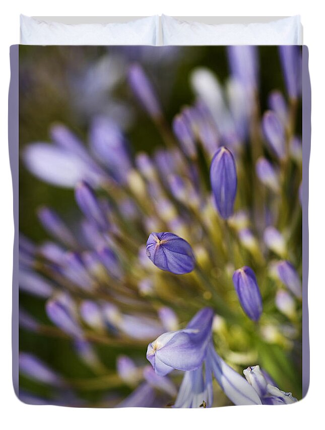 Lily Of The Nile Duvet Cover featuring the photograph Agapanthus Buds To Flower by Joy Watson
