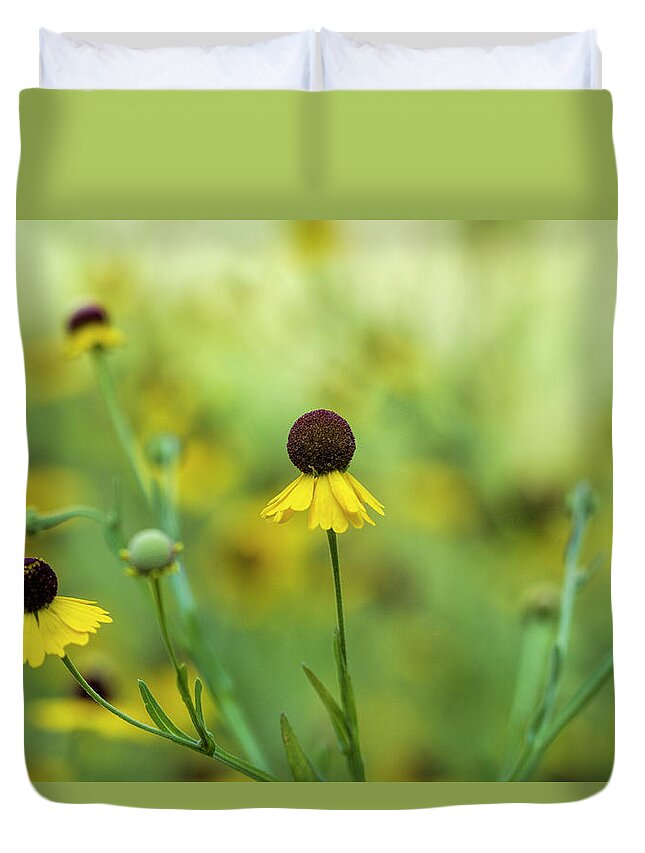 Purple Sneezeweed Duvet Cover featuring the photograph Alabama Purplehead Sneezeweed Wildflowers by Kathy Clark