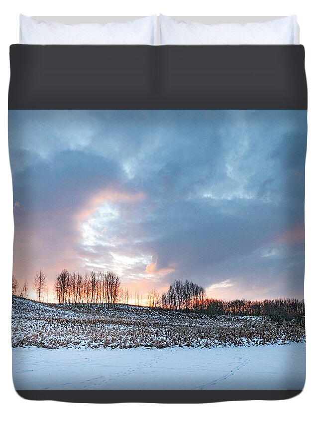 Winter Duvet Cover featuring the photograph Alberta winter dawn by Karen Rispin