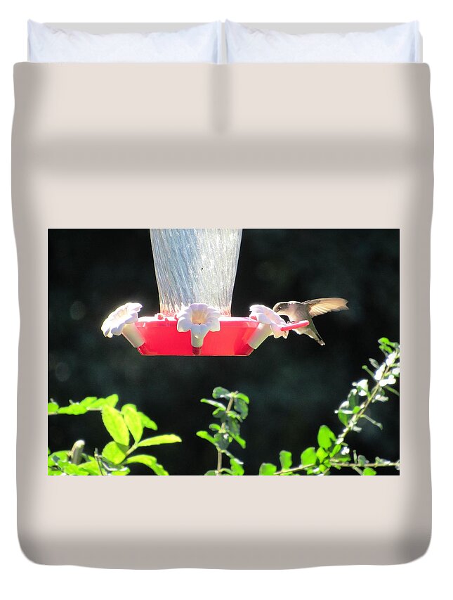 #handsome #hummingbird #bird #central #georgia #red #feeder #black #background Duvet Cover featuring the photograph All By Myself by Belinda Lee