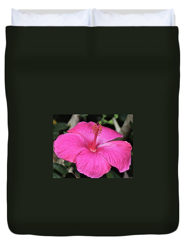 Flowers Duvet Cover featuring the pyrography All Pink by Tony Spencer