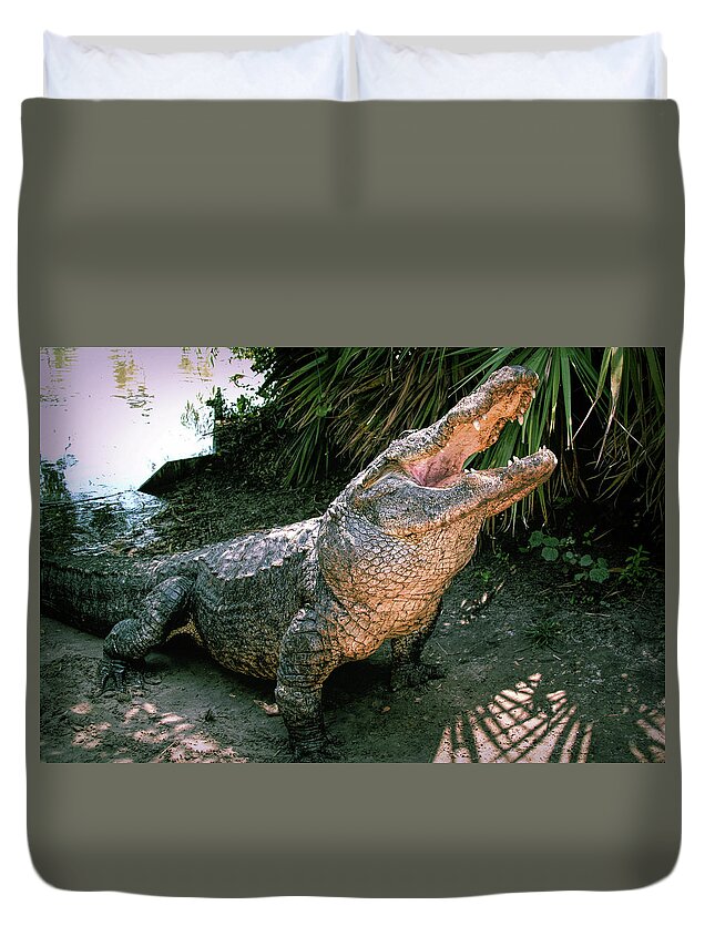 Alligator Duvet Cover featuring the photograph Alligator by Carolyn Hutchins