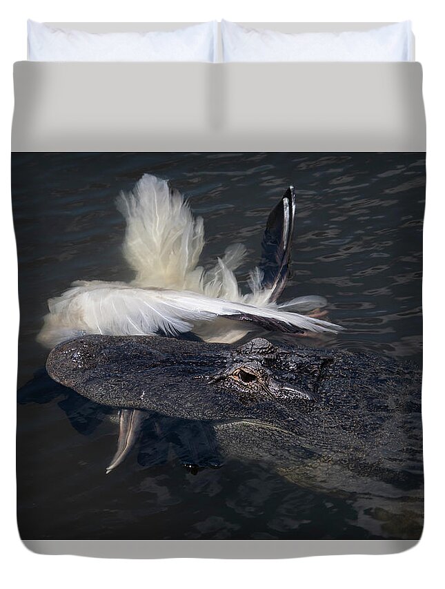 Alligator Duvet Cover featuring the photograph Alligator Eating Bird by Carolyn Hutchins