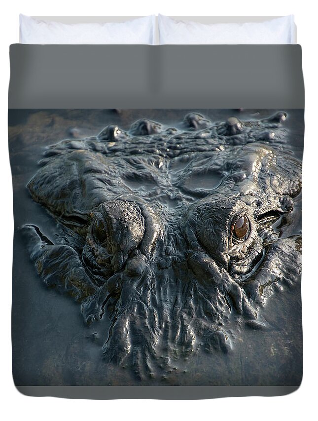 Alligator Duvet Cover featuring the photograph Alligator Predator Stare by Carolyn Hutchins