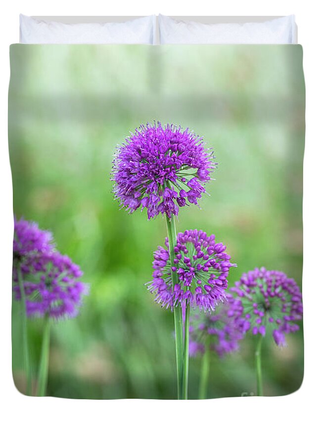 Allium Duvet Cover featuring the photograph Allium Lavender Bubbles by Tim Gainey