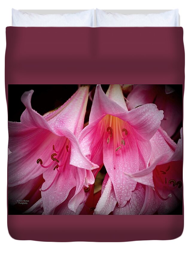 Botanical Duvet Cover featuring the photograph Amaryllis Pink Ladies by Richard Thomas