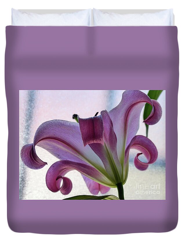 Backlit Flower Duvet Cover featuring the photograph Amazing Grace by Rosanne Licciardi