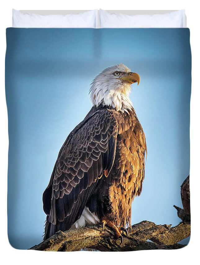 American Bald Eagle Duvet Cover featuring the photograph American Bald Eagle on a Branch by Sandra Rust