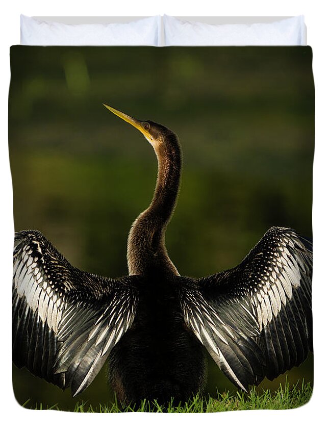 Birds Duvet Cover featuring the photograph American Darter by Larry Marshall