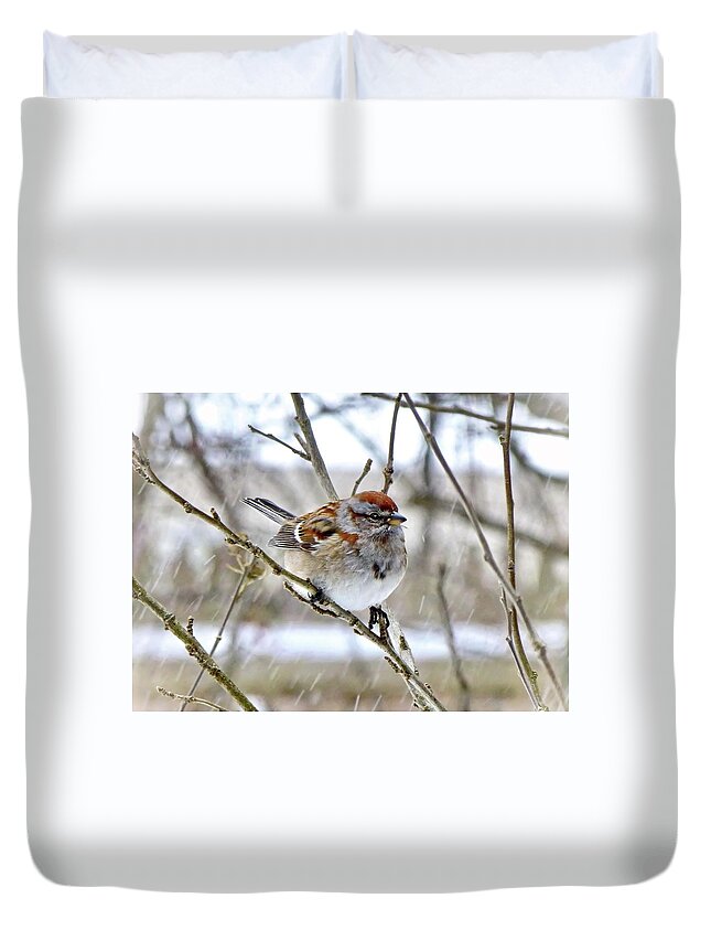 American Tree Sparrow Duvet Cover featuring the photograph American Tree Sparrow in Snowfall by Lyuba Filatova